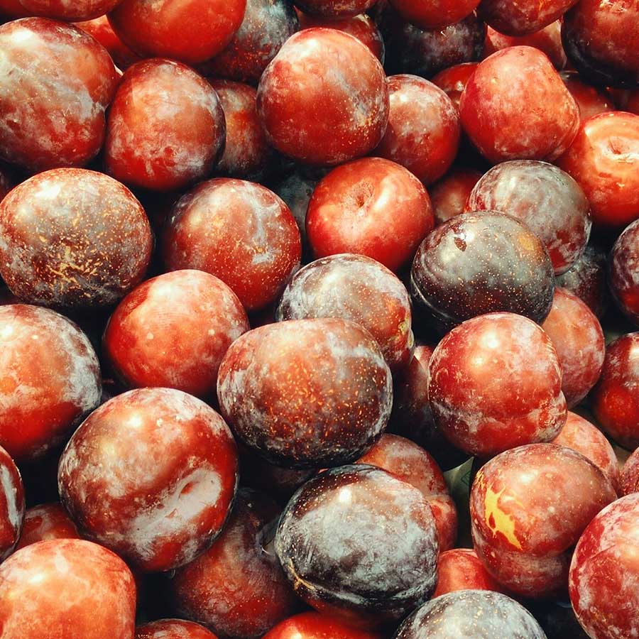 Prunes rouges
