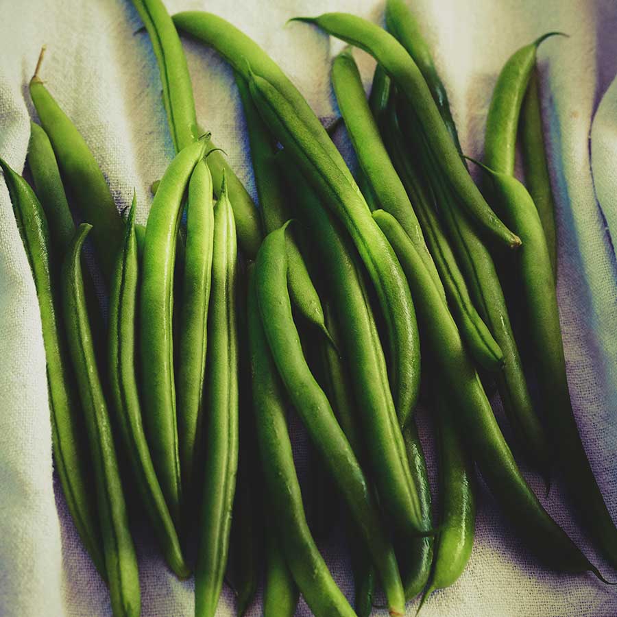 Haricots