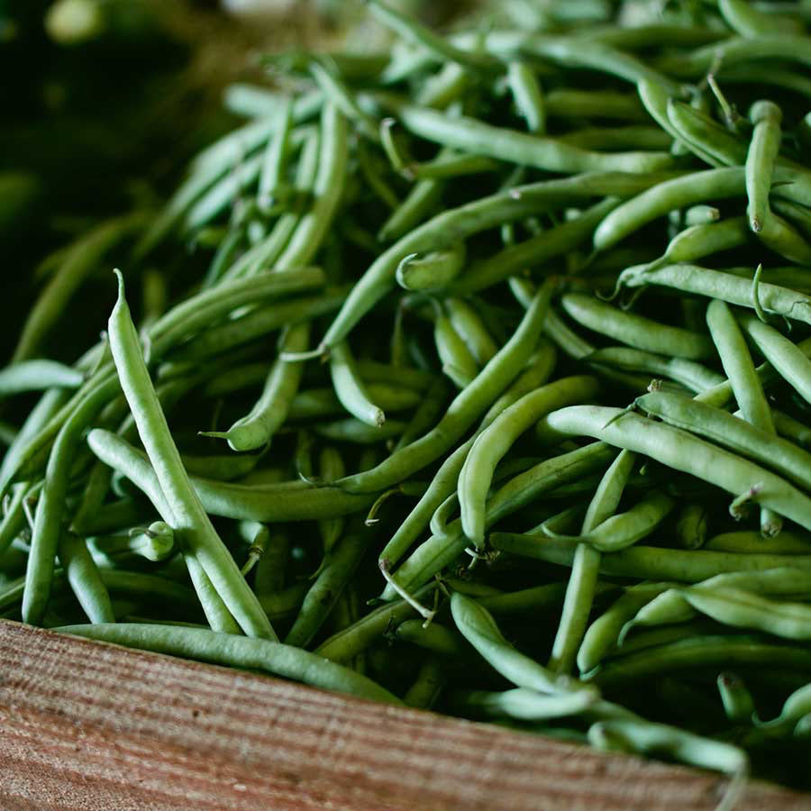 Haricots verts