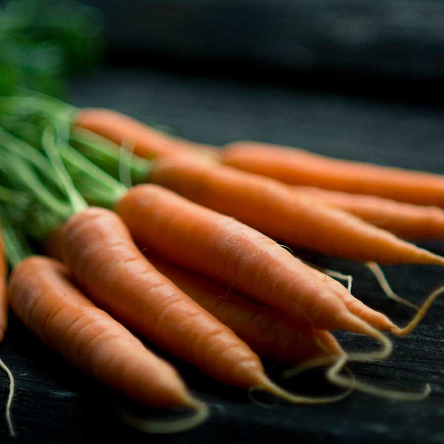 Carottes