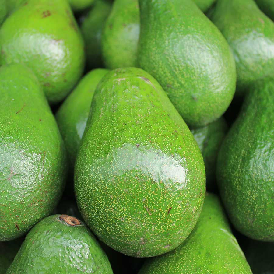 Avocats